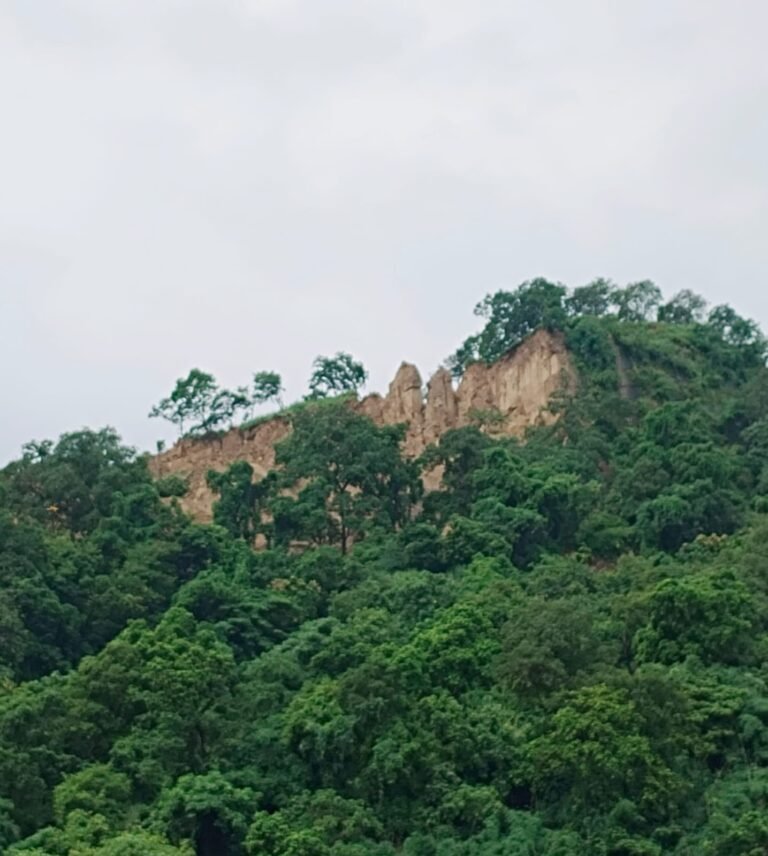 WhatsApp Image 2025-09-18 at 16.09.19_b4c22541