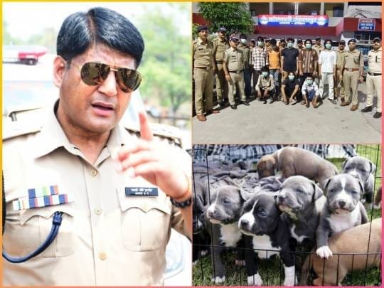 WhatsApp Image 2025-10-01 at 15.19.58_e5794772