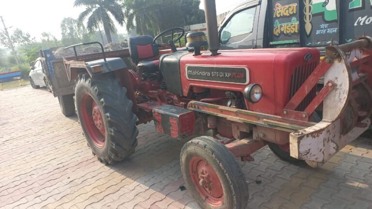 WhatsApp Image 2025-10-05 at 17.29.48_eab93f24