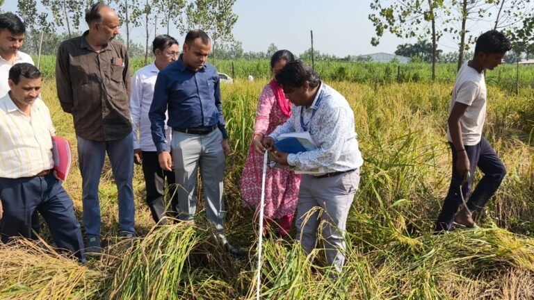 WhatsApp Image 2025-10-16 at 16.33.18_92494c0b