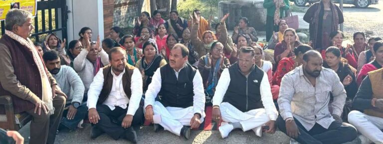 WhatsApp Image 2025-11-27 at 11.54.34_59e26a47