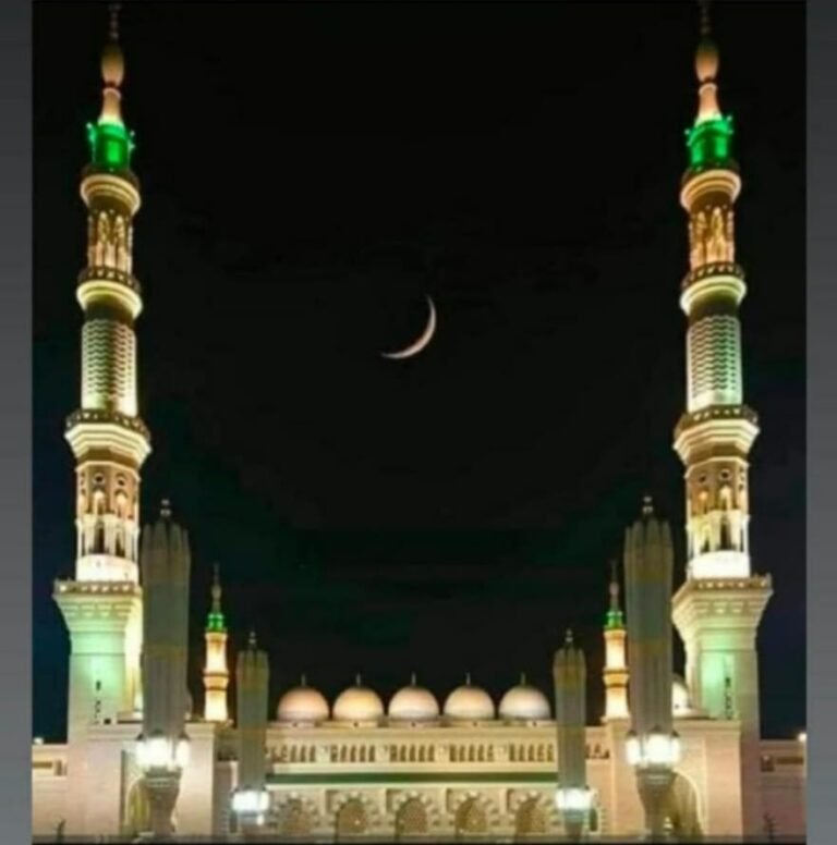 WhatsApp Image 2026-02-18 at 10.47.15 PM