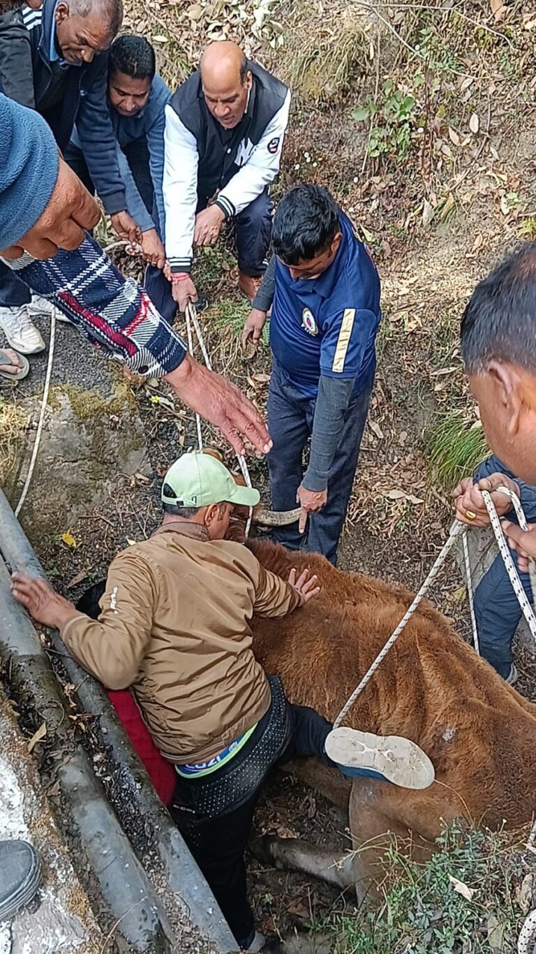 WhatsApp Image 2026-03-17 at 3.44.29 PM