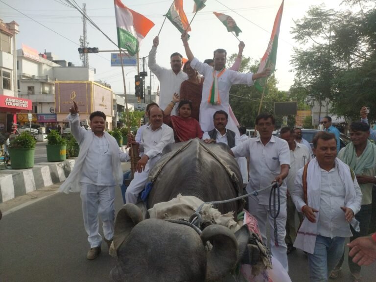WhatsApp Image 2026-05-25 at 1.41.38 PM